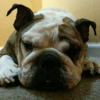 Photo of Rudy L.