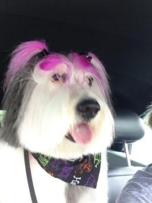 photo of Jennifer M.