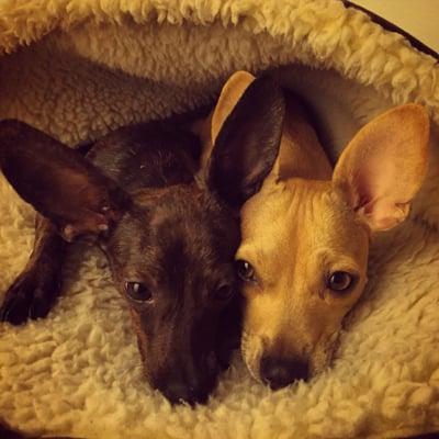 Photo of Alexandra B.