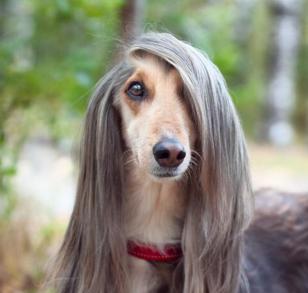 Photo of Victoria A P.