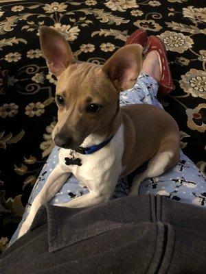 photo of Christine P.