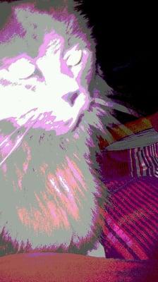 photo of Kimberly C.