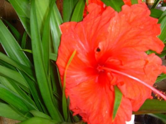 photo of I LOVE ME SOME G.