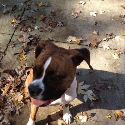 photo of Matthew And Cathy P.