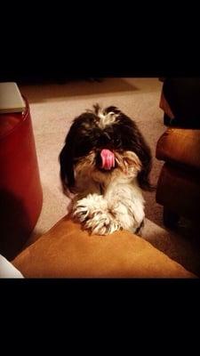 photo of Brittany A.