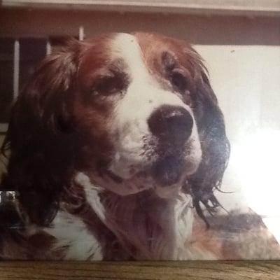 Photo of Mister S.