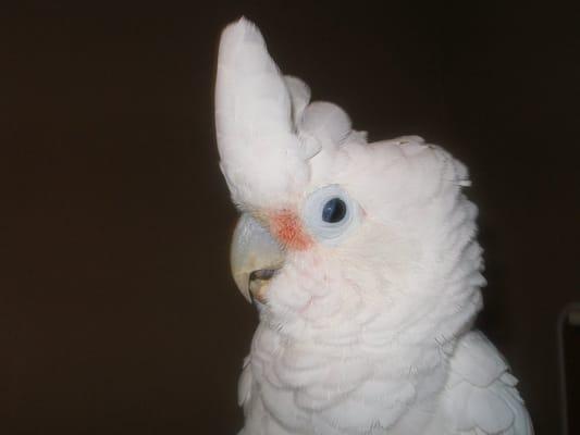 photo of Patricia R.