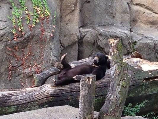 photo of Savannah L.