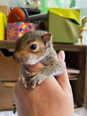 photo of veronica h.