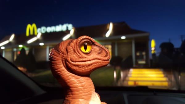 Bob the Raptor Says "I really like Breakfast Burrito prey."