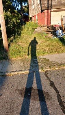 Pressure landscaping