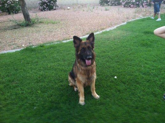 Peoria Municipal Court