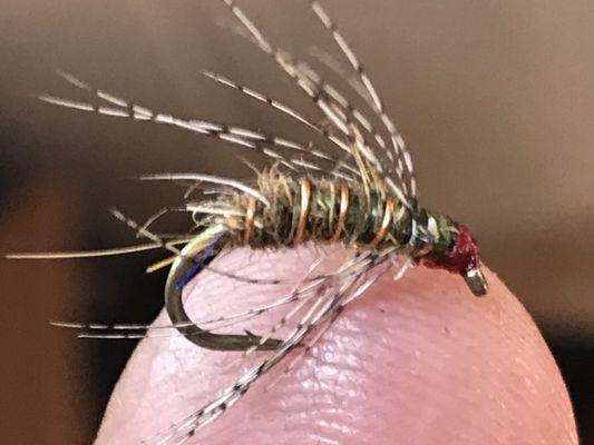 Creative Sports Flyfishing