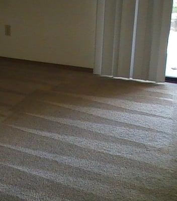 Affordable Carpet Cleaning