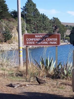 I'm sorry, it's kind of gruesome, but I thought it was kind of ominous as this was the first thing I saw on my stay here