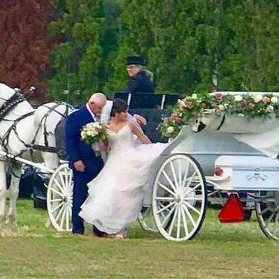 Wedding horse and carriage