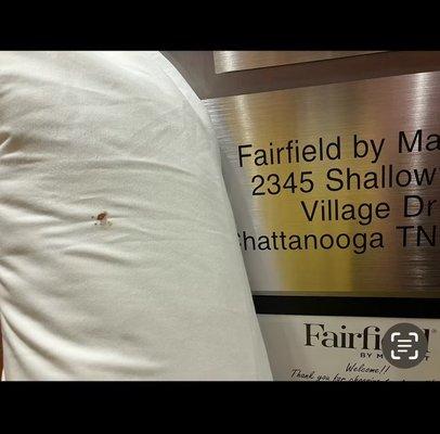 BED BUGS!!! Stay away from this place