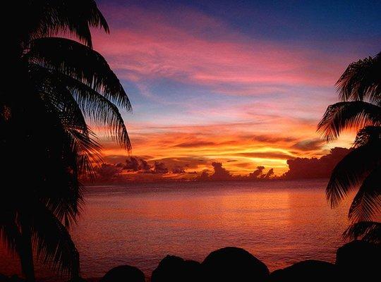 Lori Hart's Massage Therapy