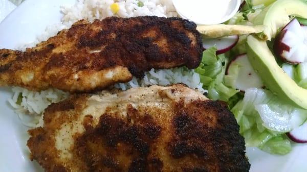 Pollo Milanesa con Arroz y Salad