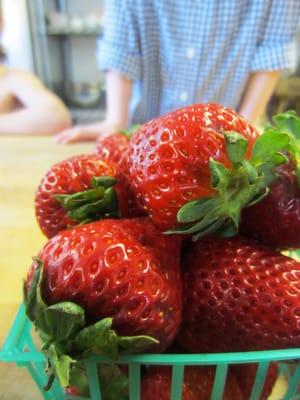 Y.U.M. Chefs cooking classes use fresh local ingredients.