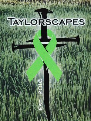 Taylorscapes