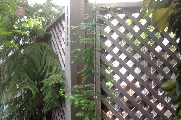 John Chapman Handyman