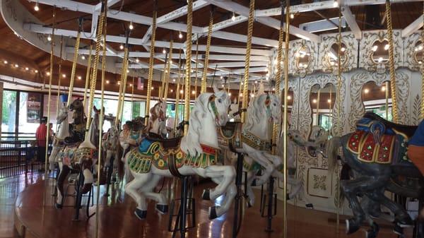 The horses..