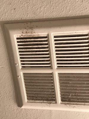 Black mold in the vent system