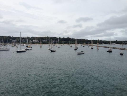 Vineyard Haven Marina