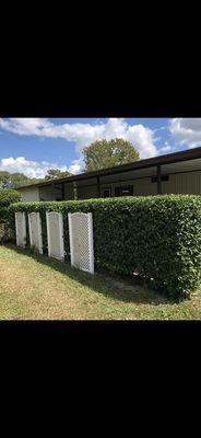 Sollazzo’s Landscaping