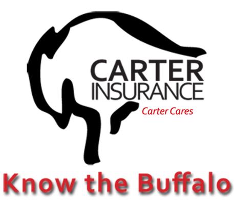 Carter Insurance