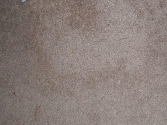the carpet these white smuges all over(laid wrong)