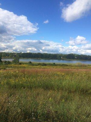 Dawley Conservancy