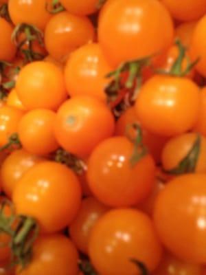 Some of the best cherry tomatoes ever!!