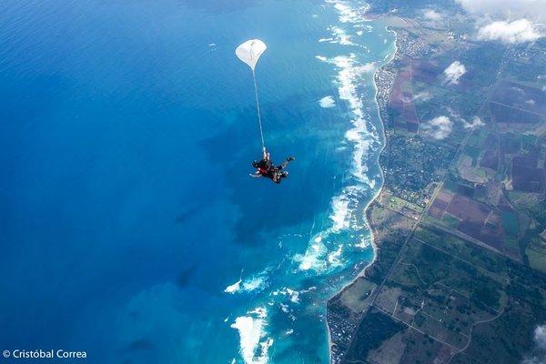 Honolulu North Shore Adventure and Rentals