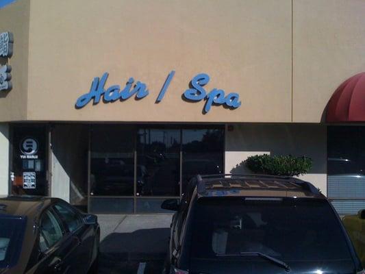 Salon by Terri Phillips