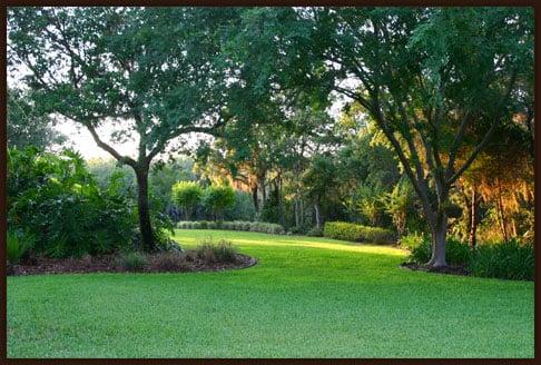 Full services lawn care service for the Rock Hill, SC area.