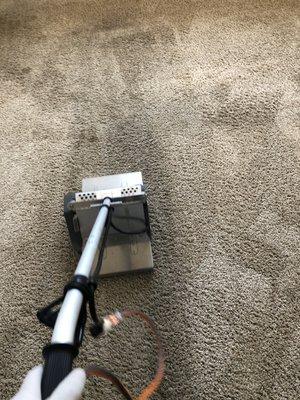 Steam King Carpet Cleaning