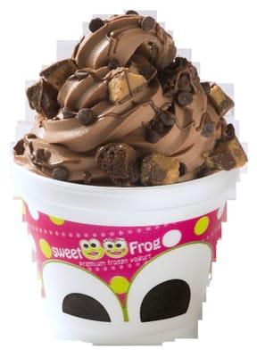 Premium Frozen Yogurt Jacksonville Texas