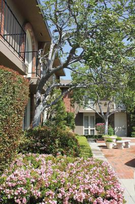 Lowe's Management Services