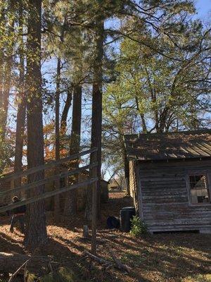 Tru Pro Tree Service