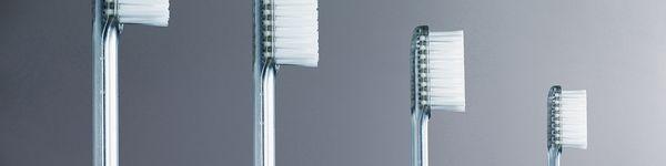 Frederick W Rohwedder ,DMD and Dayton Cambra ,DDS