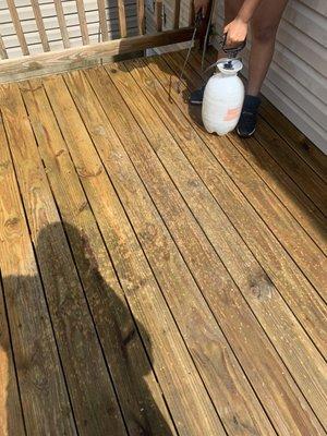 Dirt Bully's Pressure Washing