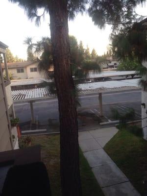 Summer Breeze Apartments