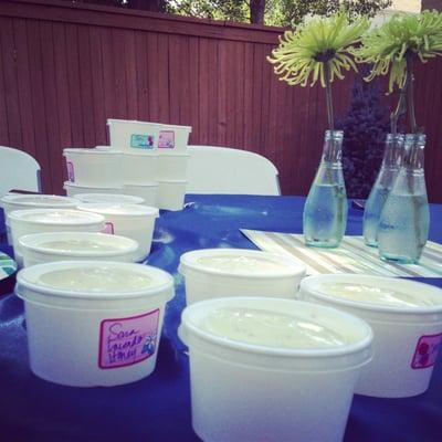 Fresh Gelato made in our Gelato class.