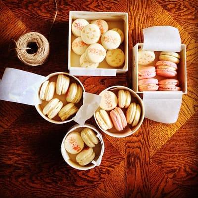 Pretty in Pink Macaron