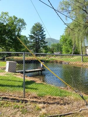 Hampton Trout Farm