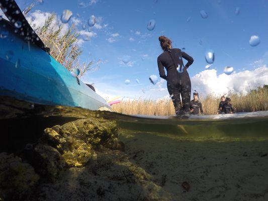 Hunter Springs Kayaks on Halls River