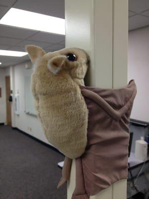 Beaver Dam School District