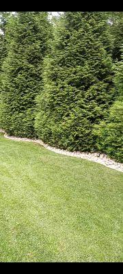 RRH Landscaping Y Lawn Care